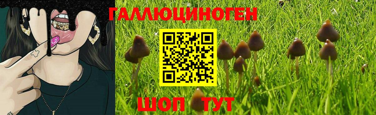 Владивосток  Галлюциногенные грибы MAGIC MUSHROOMS  Вход с VPN  Галлюциногенные грибы Magic Shrooms 